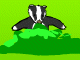 Badger Badger