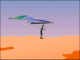 Canyon Glider