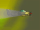 Cloud Soldier