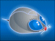 Cyber Mice Party 2