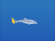 Dolphin Olympics 2