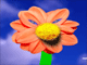 Flower Song