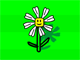 Plant Life