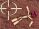 Ragdoll Cannon 2