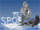 Yeti 3