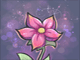 Seed