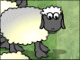 Sheep Reaction