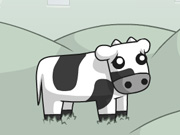 Cowlorful