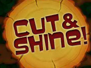 Cut and Shine
