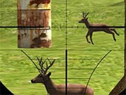 Deer Sniper 2014