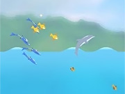 Dolphin Olympics 2