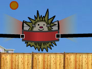 Hedgehog Launch