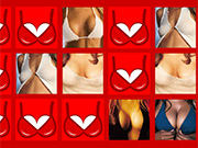 Mammary Memory Game