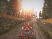 Quadbike: Trail King