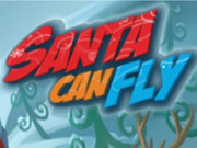 Santa Can Fly