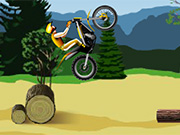 Stunt Dirt Bike