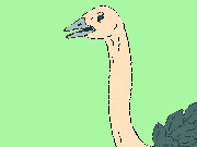 Super Ostrich Simulator